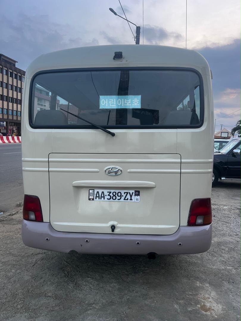 Hyundai County 2020