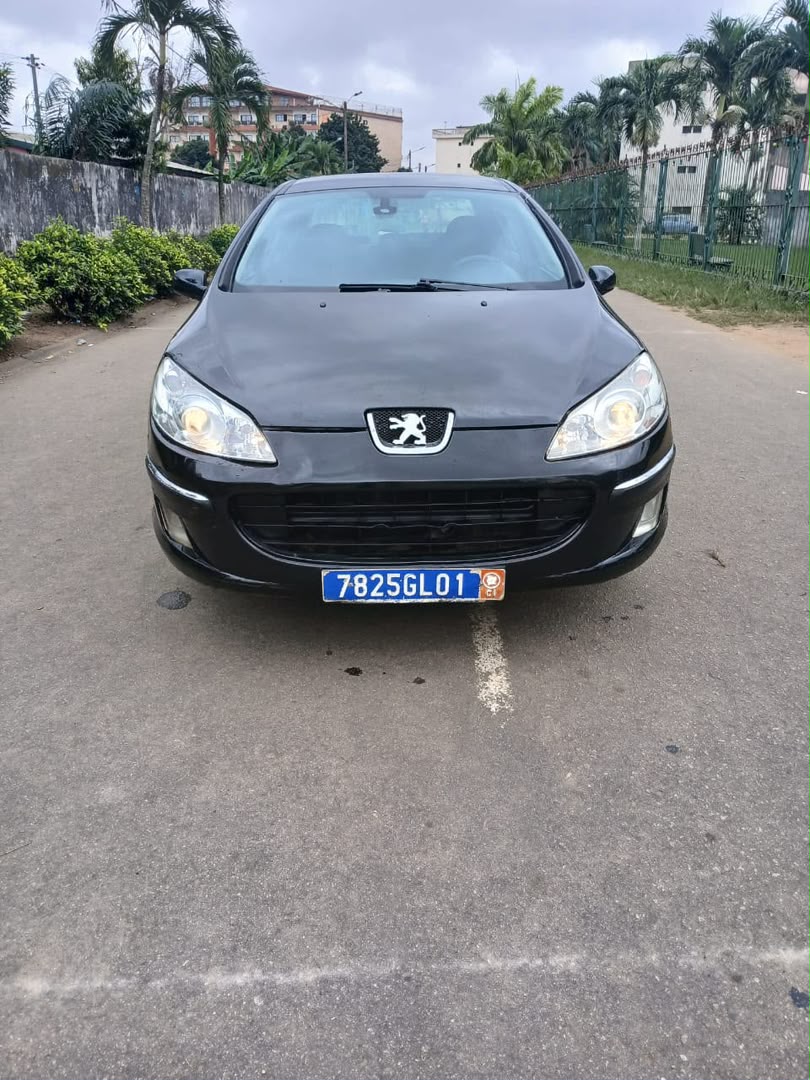 Peugeot 407 2007