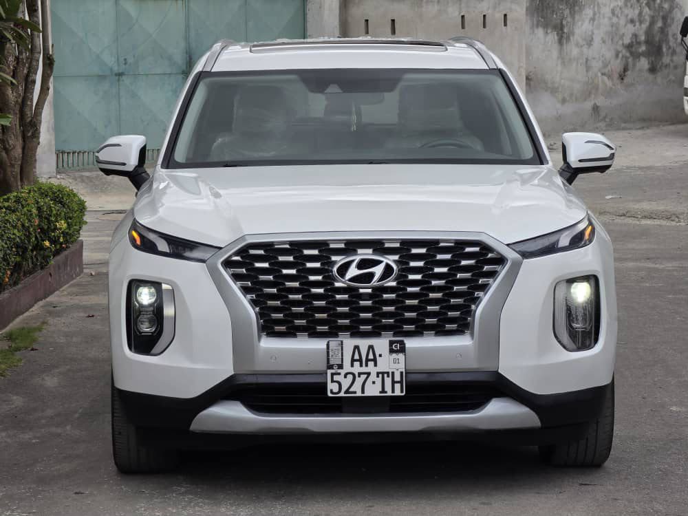 Hyundai Palisade 2022